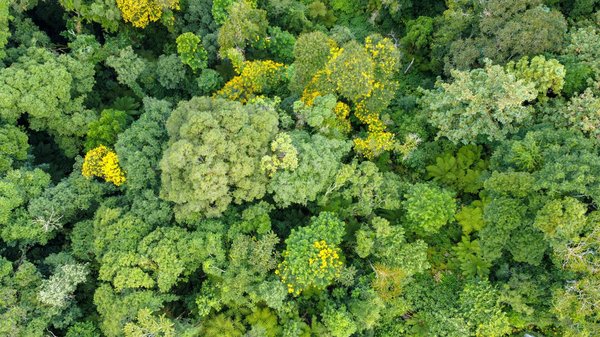 Dévoilées : les 5 causes surprenantes de grossesse malgré une contraception à la pilule